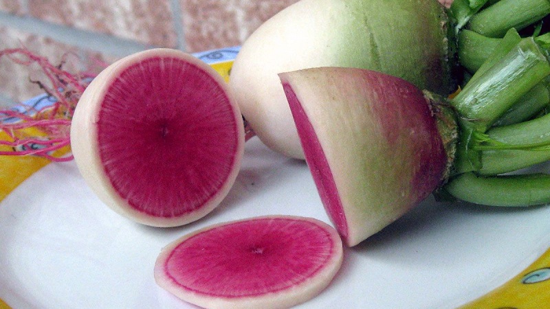 Unusual-looking and pleasant-tasting watermelon radish: what is good and how to grow
