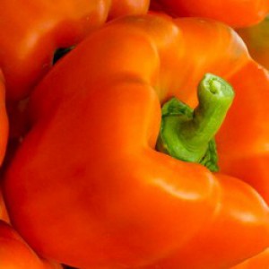 A selection of the best varieties of sweet peppers with a description