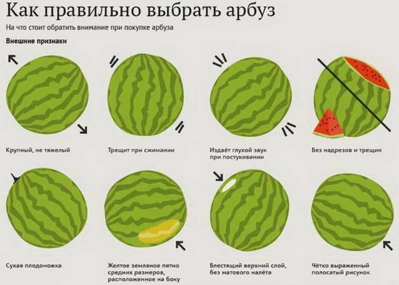 Simple and quick recipes for fermented watermelons