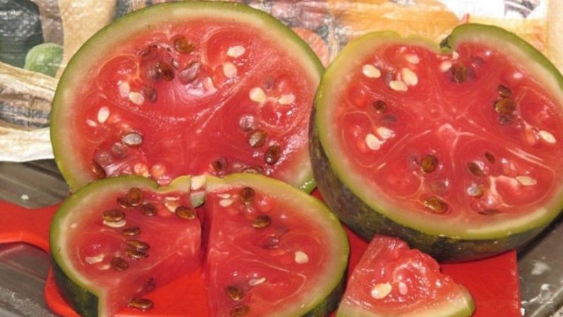 Simple and quick recipes for fermented watermelons