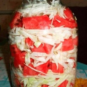 Simple and quick recipes for fermented watermelons