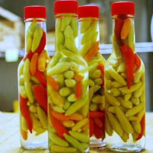 Top 10 best recipes for pickled pepper Ogonyok for the winter