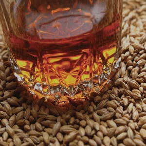 Simple barley moonshine recipes