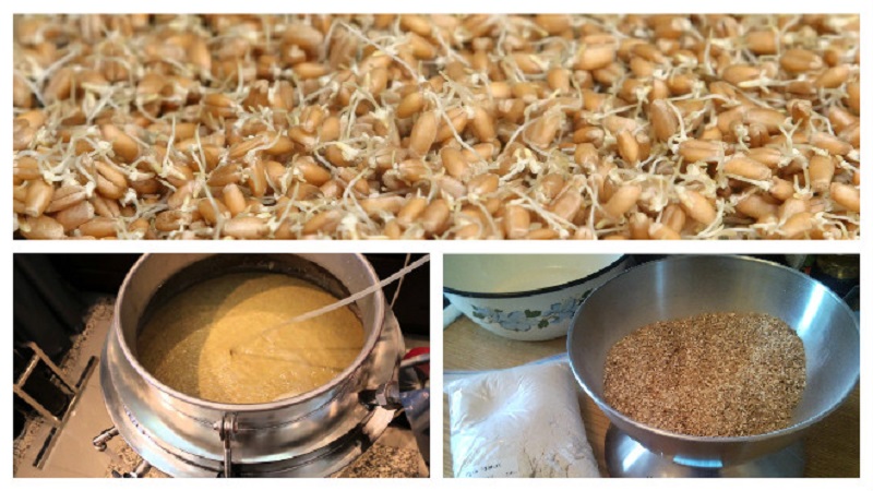 Simple barley moonshine recipes