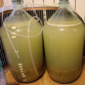 Simple barley moonshine recipes