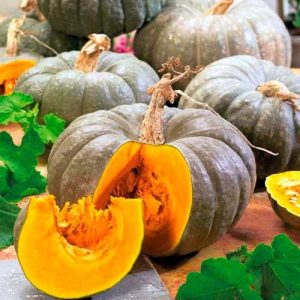 A healthy and tasty variety from Kuban breeders - Healing pumpkin: a review of the variety and instructions for growing
