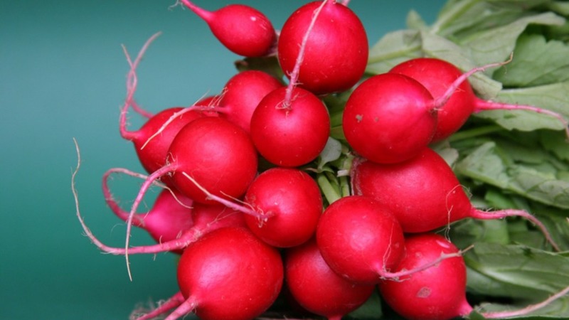 What is good cherry radish hybrid and why it is worth growing