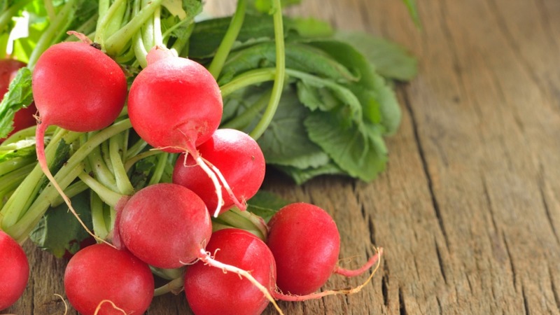 What is good cherry radish hybrid and why it is worth growing