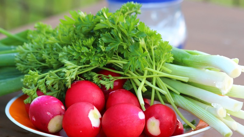 What is good cherry radish hybrid and why it is worth growing