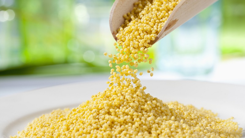 What cereal is millet made from and why is it needed