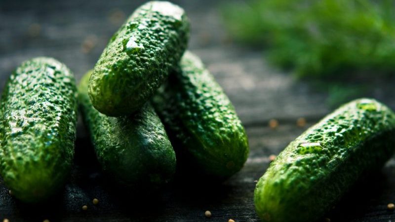 Why cucumbers do not grow in the greenhouse and how to effectively deal with this problem