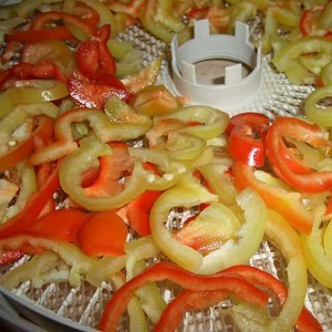 How to dry Bulgarian pepper in an electric dryer: step-by-step instructions for preparing a vegetable