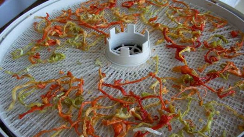 How to dry Bulgarian pepper in an electric dryer: step-by-step instructions for preparing a vegetable