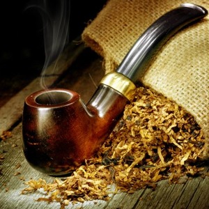 Step by step guide on how to grow Virginia 202 tobacco