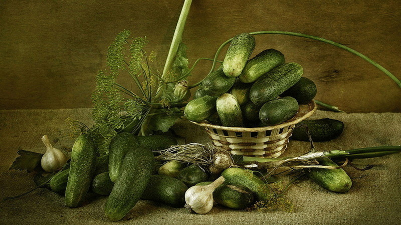 What is the calorie content of lightly salted cucumbers and is it possible to eat them while losing weight