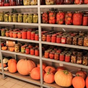 How to store cut pumpkin at home: the best ways and shelf life for a fresh vegetable