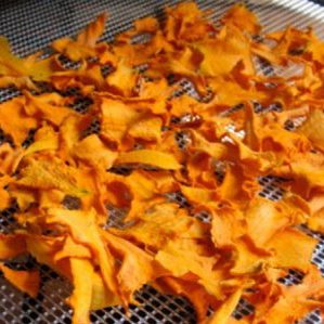 How to store cut pumpkin at home: the best ways and shelf life for a fresh vegetable