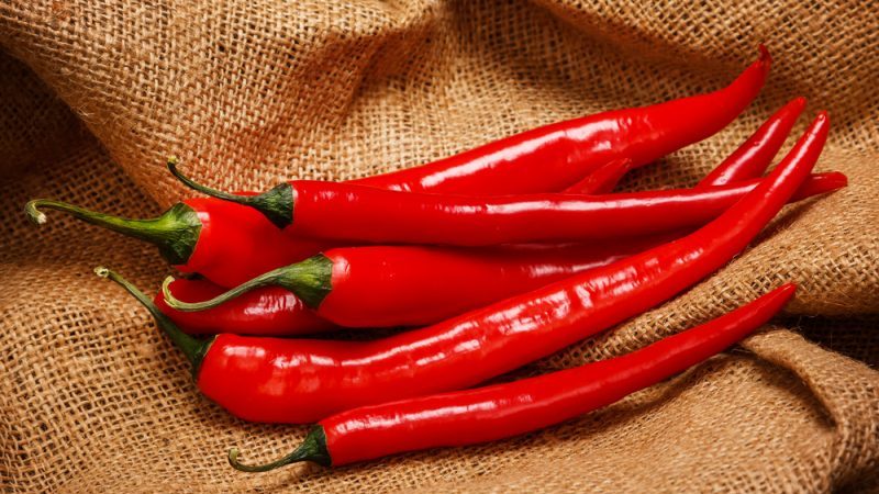 How to feed peppers during flowering and fruiting in a greenhouse to get a record harvest