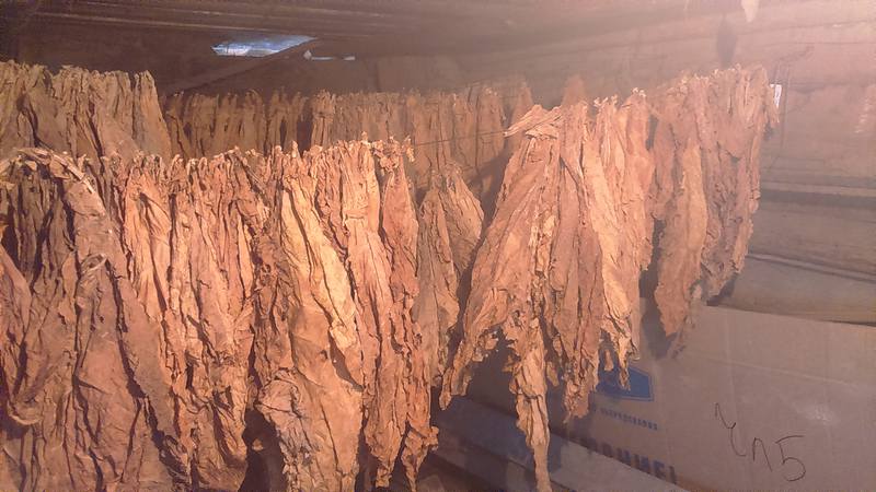 The safest ways to store tobacco at home