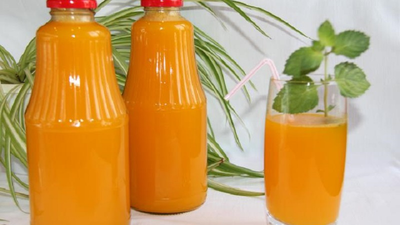 The benefits of pumpkin juice for women: we get acquainted with the medicinal properties, prepare ourselves and drink correctly