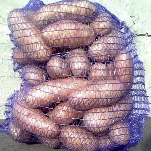 Time-honored and adored by farmers, legendary American potato variety
