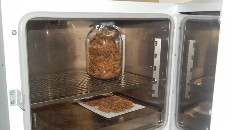 How to ferment tobacco at home: the best ways