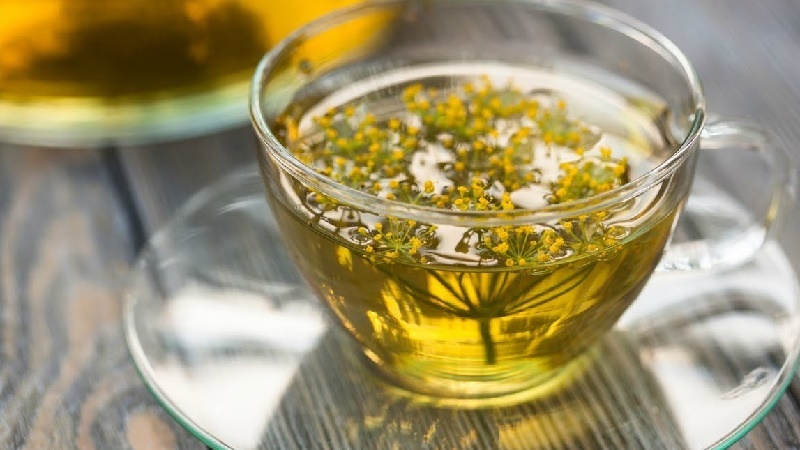 Is it possible for pregnant women to dill: harm and benefit for the expectant mother and child