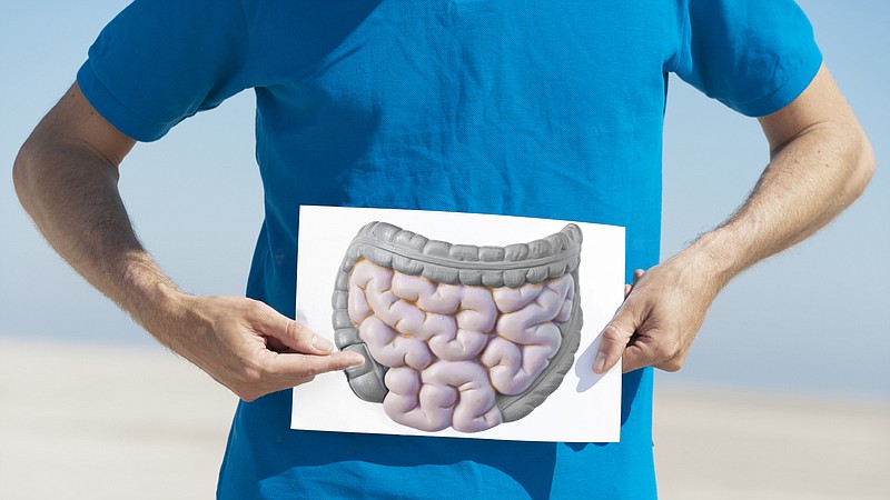 We clean the intestines with watermelon: recipes