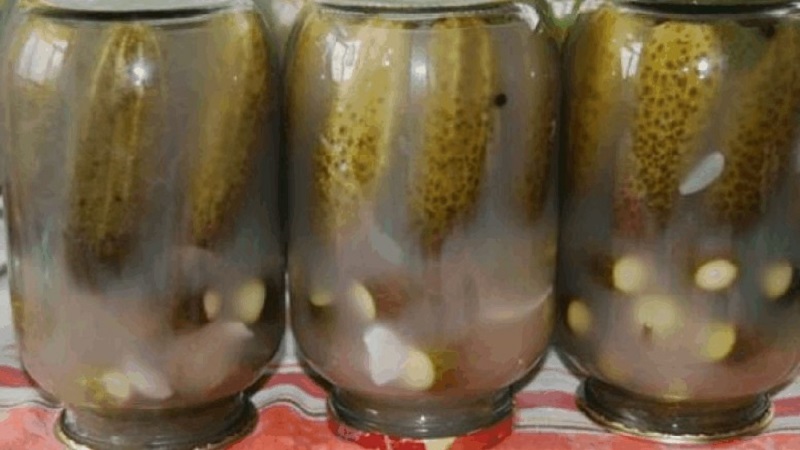 What to do if cucumbers in the jar are cloudy: how to correct mistakes and prevent them in the following blanks