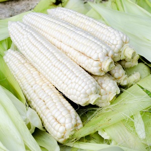 What is white corn, how does it differ from ordinary corn and how to eat it