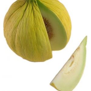 What is good about the Kassaba melon, how to choose and grow it