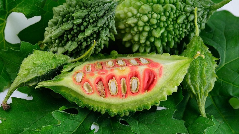 Overview of Chinese Bitter Melon (Momordiki)