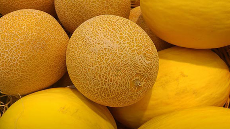 Delicious recipes for melon blanks for the winter - lick your fingers!
