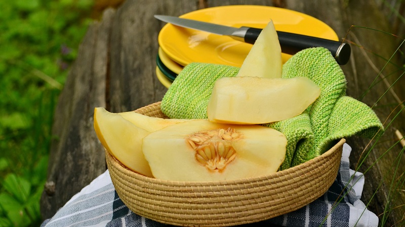 Effective melon diets for weight loss: reviews and calories