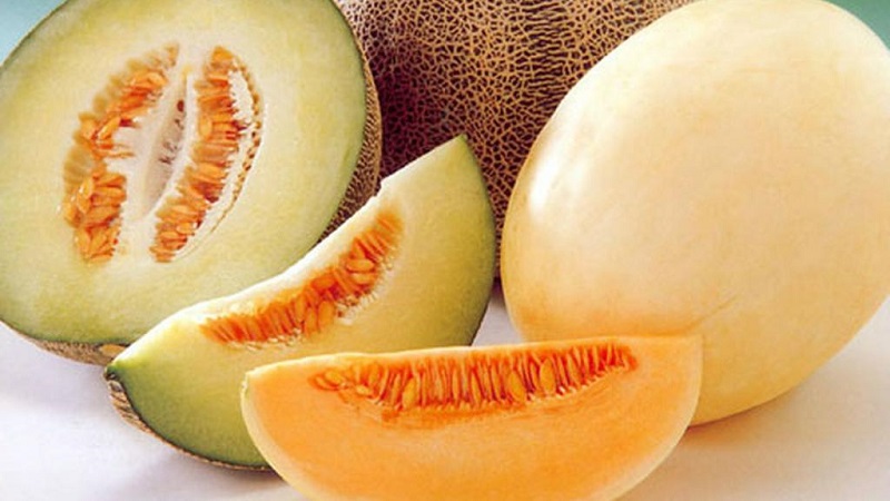 Effective melon diets for weight loss: reviews and calories