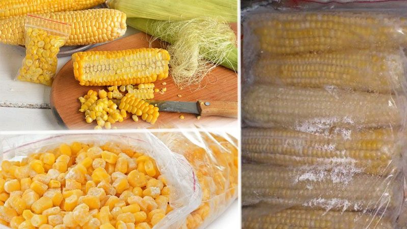 Where and how to store corn on the cob at home: optimal conditions and shelf life
