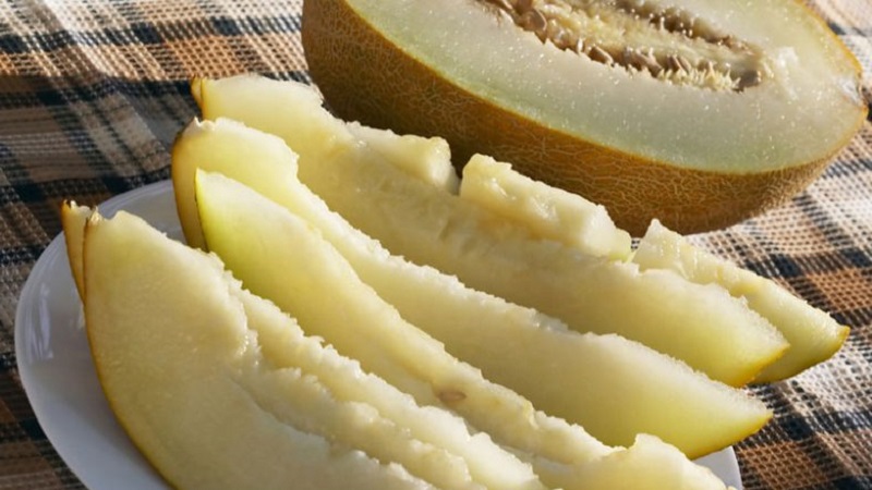 Where and how to preserve melon before the New Year at home