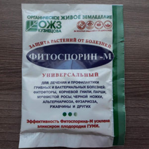 Instructions for the use of phytosporin for cucumbers