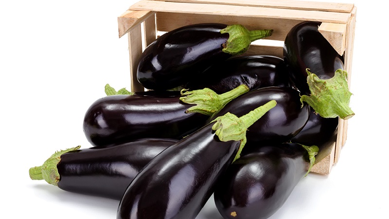 How to store eggplants at home until winter correctly