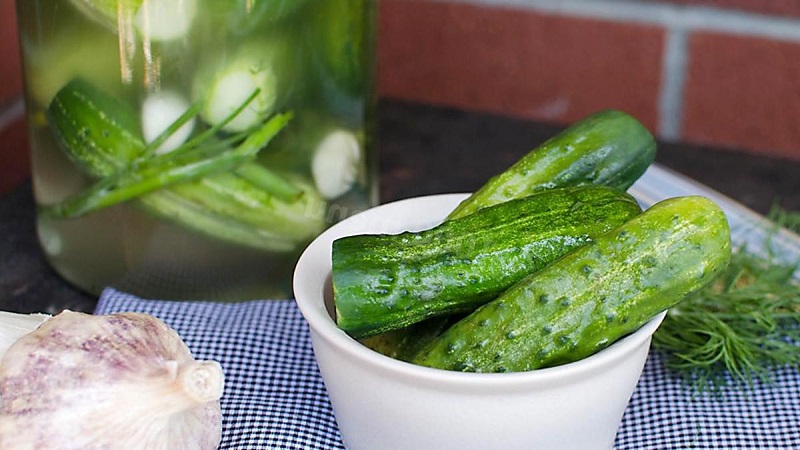 How to store lightly salted cucumbers after salting so that they do not deteriorate and do not oversalt