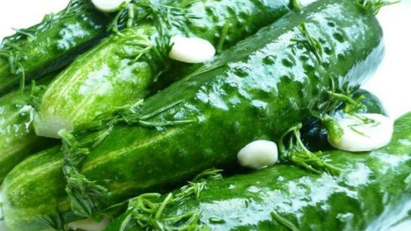 How to store lightly salted cucumbers after salting so that they do not deteriorate and do not oversalt