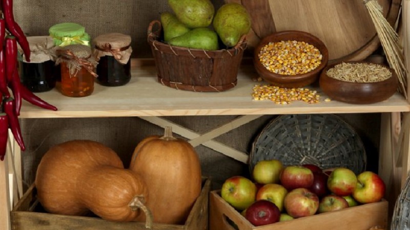 How to store a pumpkin for the winter in a cellar: create favorable conditions to avoid spoiling the vegetable