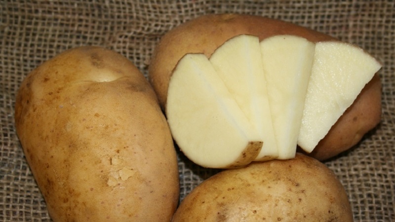 How to get rid of warts with potatoes
