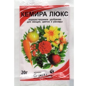 How, when and what to feed the seedlings of peppers and tomatoes for a rich harvest