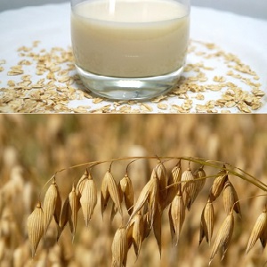 How to drink oats to cleanse the body at home