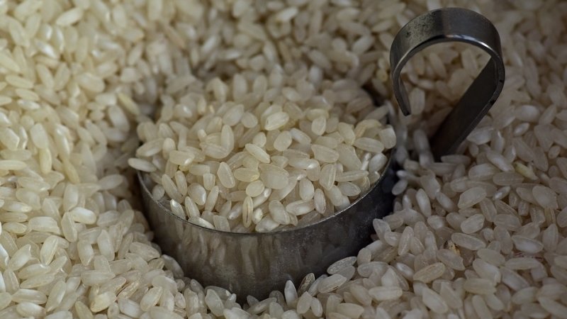 How to store rice at home and how long it can be stored