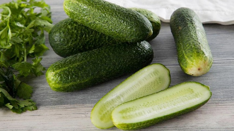 How to grow the Trilogy f1 Dutch cucumber hybrid to get a good harvest