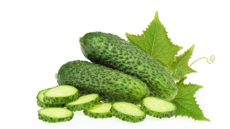How to properly grow Trilogy f1 Dutch cucumber hybrid to achieve a good harvest