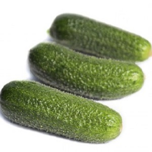 How to properly grow Trilogy f1 Dutch cucumber hybrid to achieve a good harvest