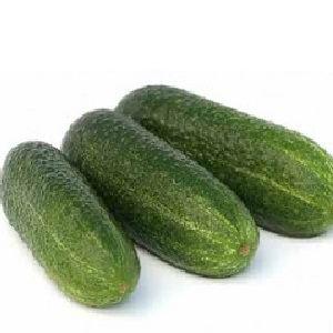 How to properly grow Trilogy f1 Dutch cucumber hybrid to achieve a good harvest